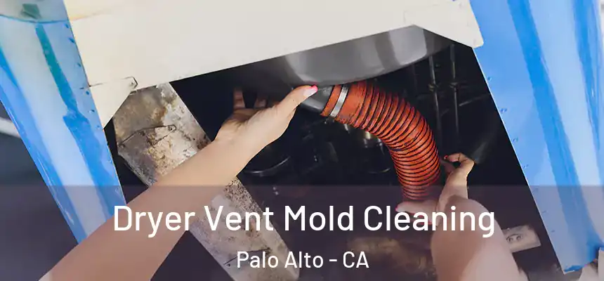 Dryer Vent Mold Cleaning Palo Alto - CA