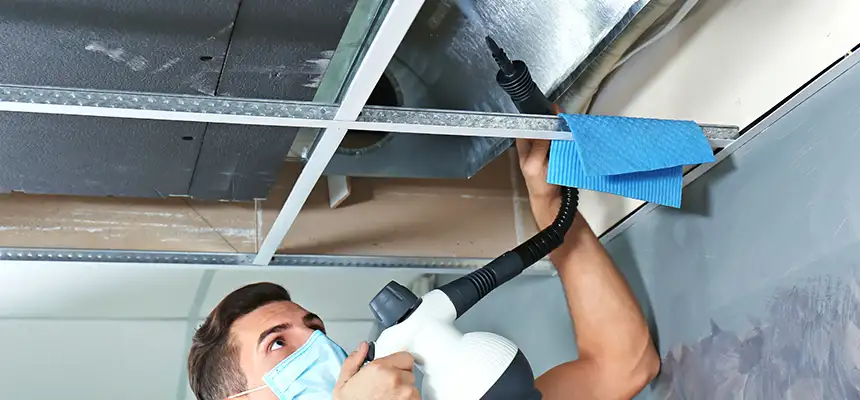Our Air Duct Rodent Removal Services in Palo Alto, CA