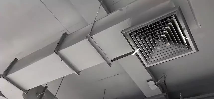 Restorative Allergy Relief Vent Cleaning – Coil, Blower & Housing Detail in Palo Alto