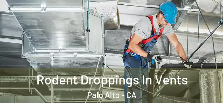 Rodent Droppings In Vents Palo Alto - CA
