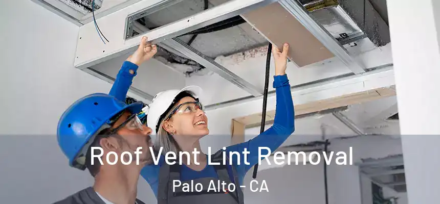 Roof Vent Lint Removal Palo Alto - CA