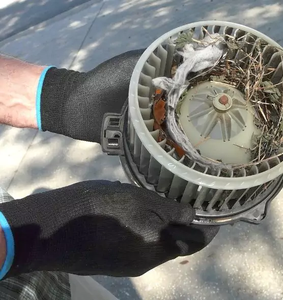 About Air Duct Mice Removal in Palo Alto, CA