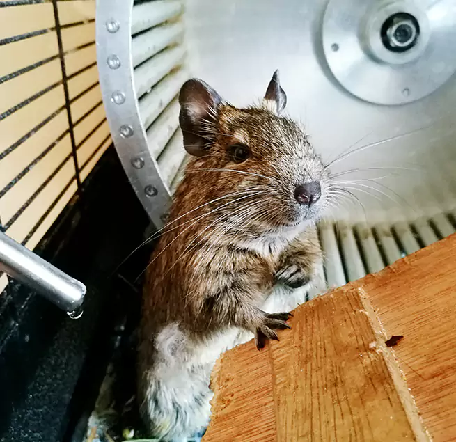 Why Homeowners & Businesses Trust Us Palo Alto, CA