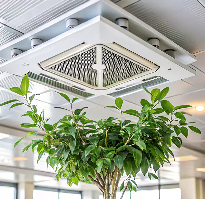 Why Homeowners & Businesses Trust Us in Palo Alto, CA?