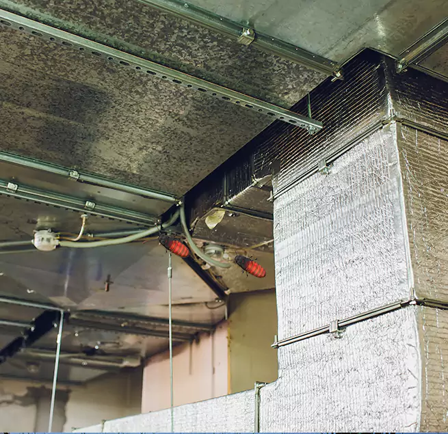 Why Homeowners & Businesses Trust Us Palo Alto, CA?